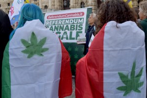 Referendum Legalisasi Budidaya Mariyuana di Italia Ditolak Mahkamah Konstitusi