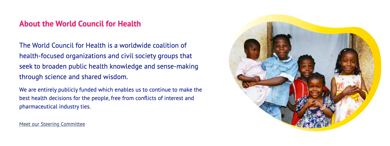 Images shows a screenshot from the World Council for Health, a photo of a group of cheerful looking Black children.