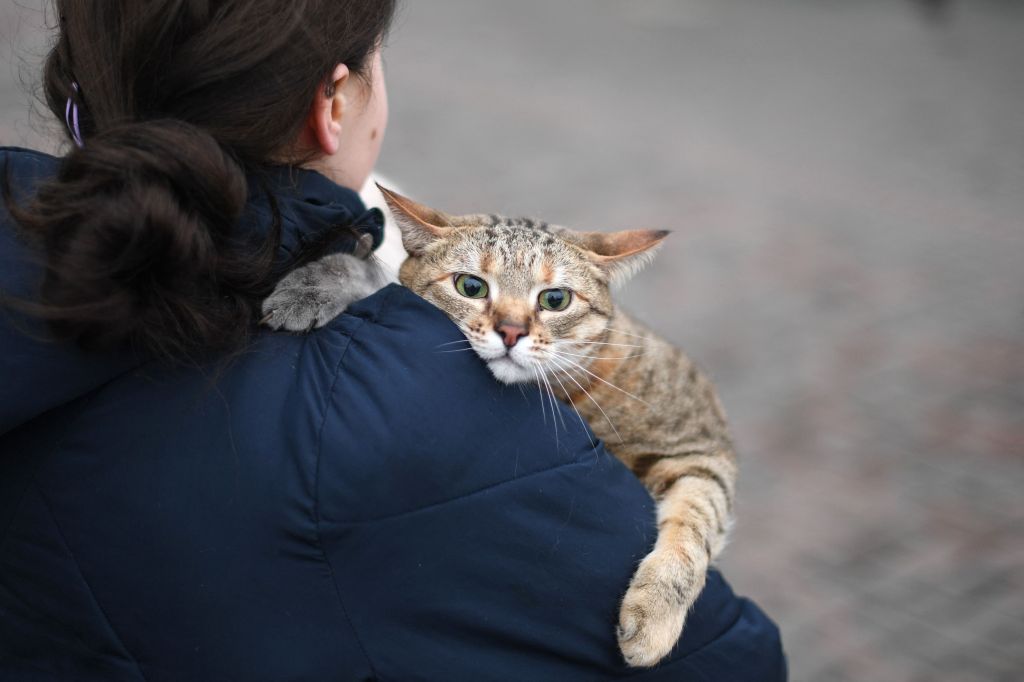 A woman carries her cat near a railway station in Kyiv. Photo: Daniel LEAL / AFP