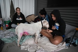 Mystique Herbert feeds her dog at an evacuation centre in Ipswich, west of Brisbane, Australia.