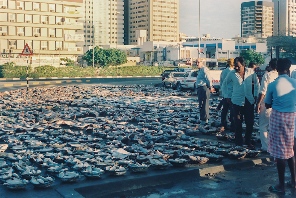 Saleh al-Tamimi, Abu Dhabi – A group of man standing near a parking lot covered in baskets filled with fish laid on the ground near an intersection.