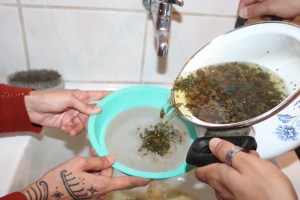 wiet weed schoonmaken brazilië