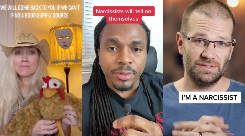 Screenshots of self-aware narcissists on TikTok