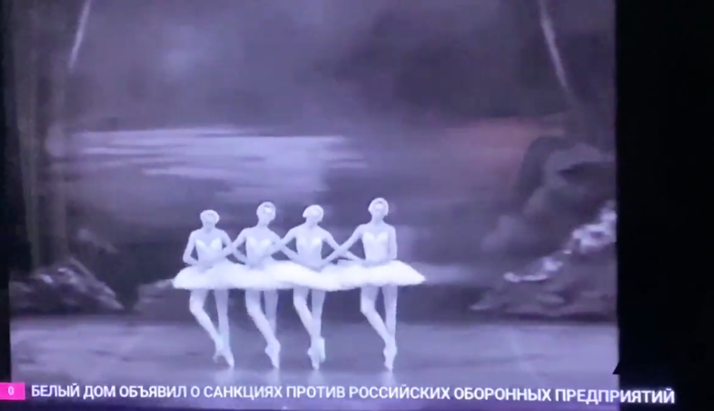 swan lake tv rain dozhd russia ukraine