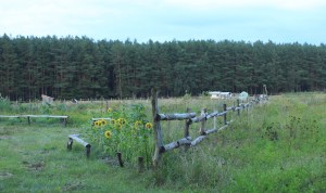 ​A settlement in Grabow-bei-Blumenthal, seen from a distance.