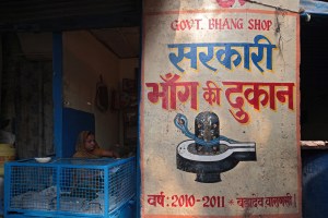 bhang shop in india