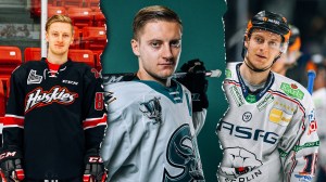 Eine Collage zeigt den Eishockeyprofi Manuel Wiederer im Laufe seiner Karriere; nach einem steilen Aufstieg bis kurz vor die NHL legte Wiederer eine Zwangspause ein, um sich mental zu regenerieren; wir haben mit ihm über mentale Gesundheit geredet