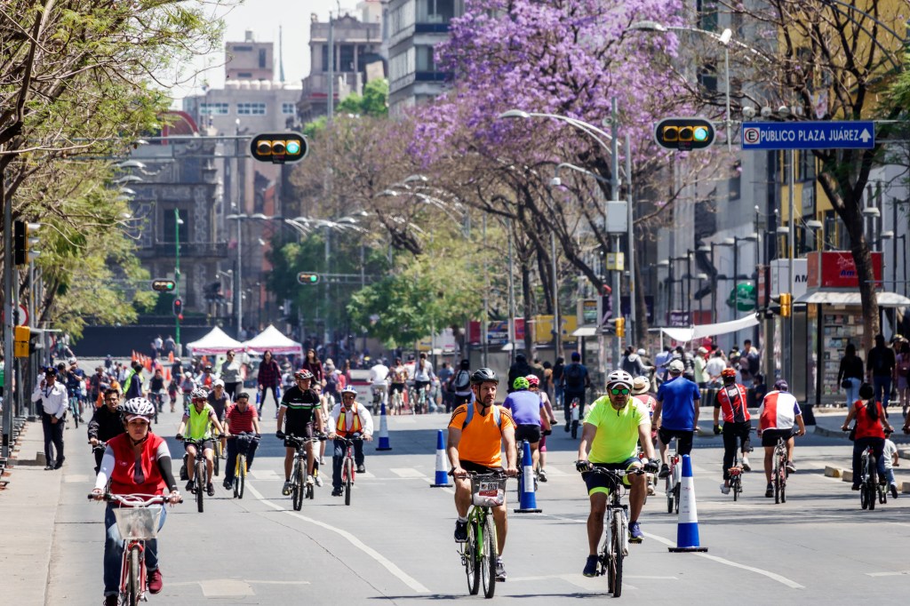 Car Free Sundays Mexico City