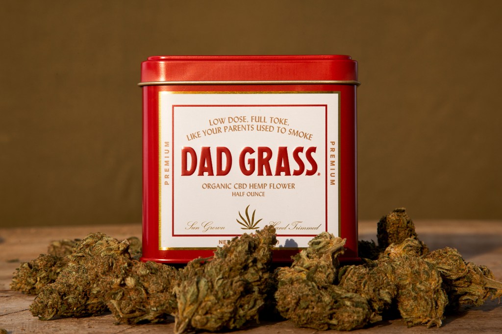 dad grass review