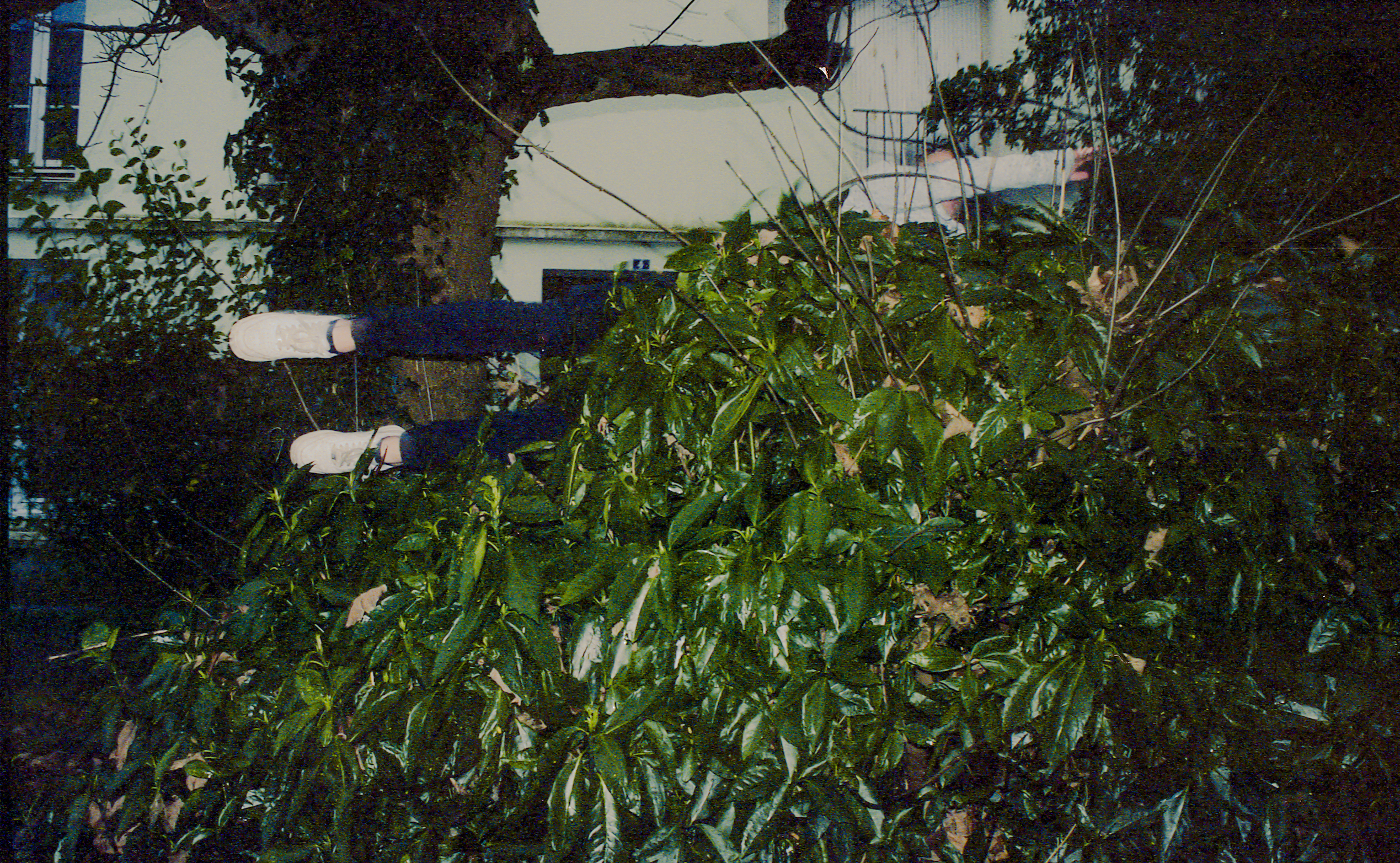 Mushary, France, hobbies – Photograph of a man's feet (in white trainers) sticking horizontally out of a green bush.