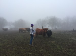 Pas de congé mat’ pour les agricultrices enceintes