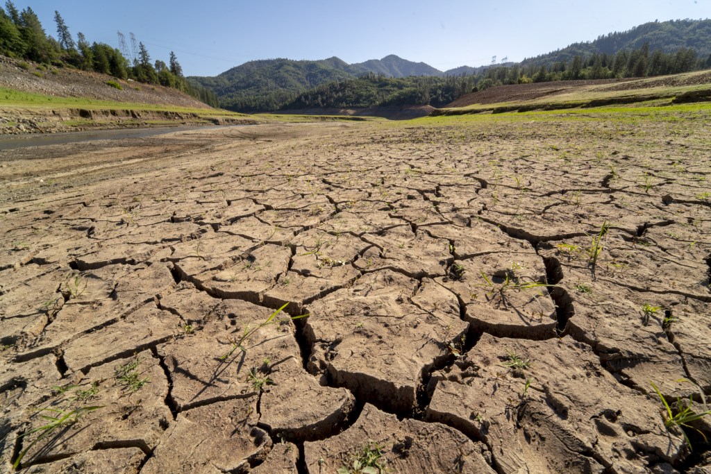 ‘They Are Lying’: Companies and Governments Must Decarbonize Now to Avert Disaster, UN Report Says