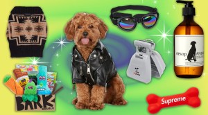 the best gifts for dog lovers