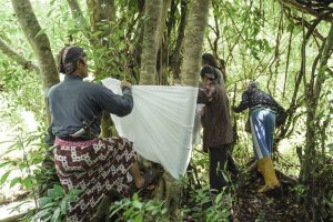 Komunitas Resan Gunungkidul Lestarikan ritual nglangse dan penanaman pohon besar untuk atasi kekeringan DIY