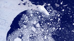 Antarctic Sea Ice Hit Lowest Level Since Satellite Observations Began, Study Finds