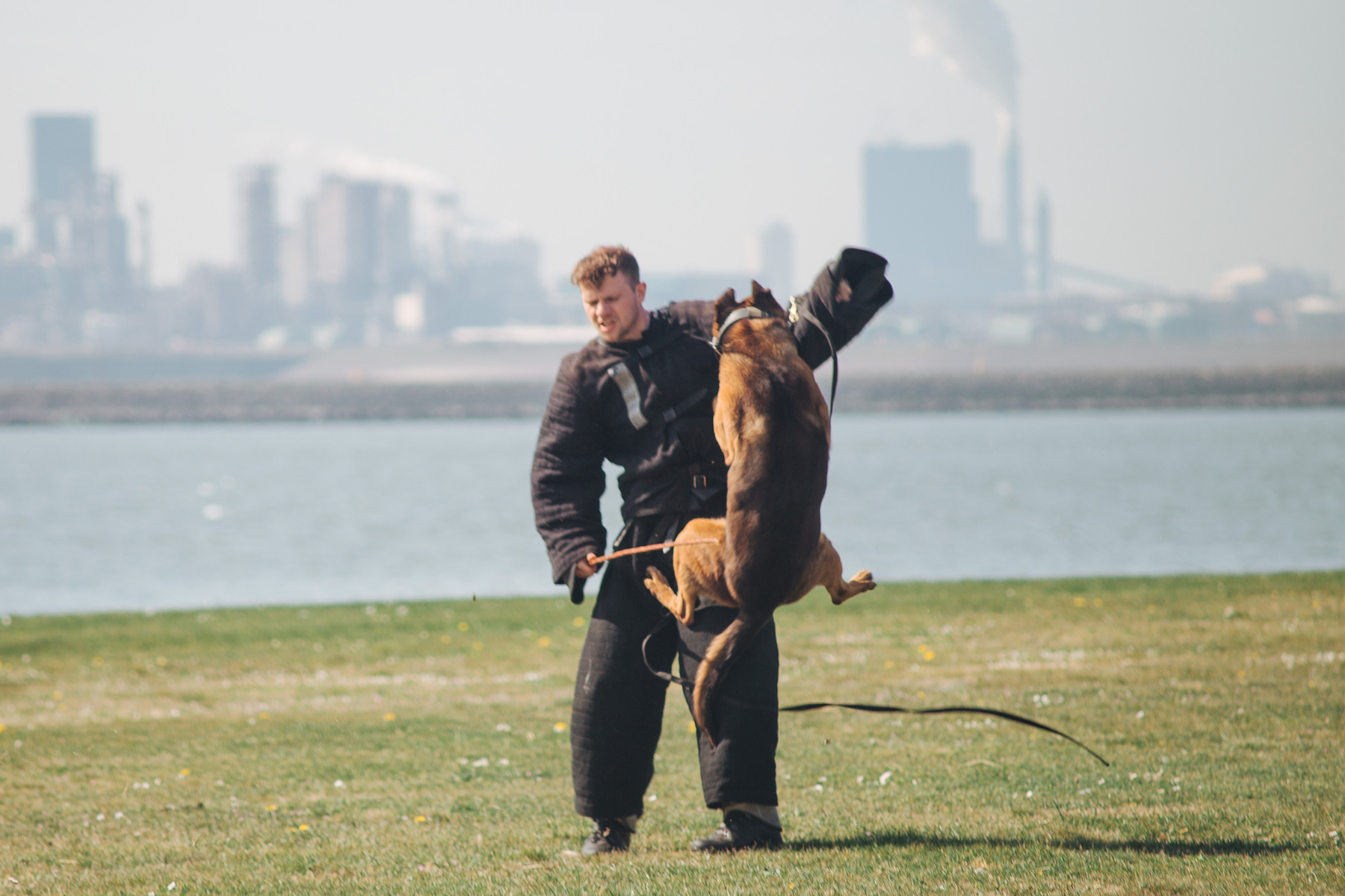 Army recruitment, Fort 1881 – A man in a black protective suit being attacked by a big dog.