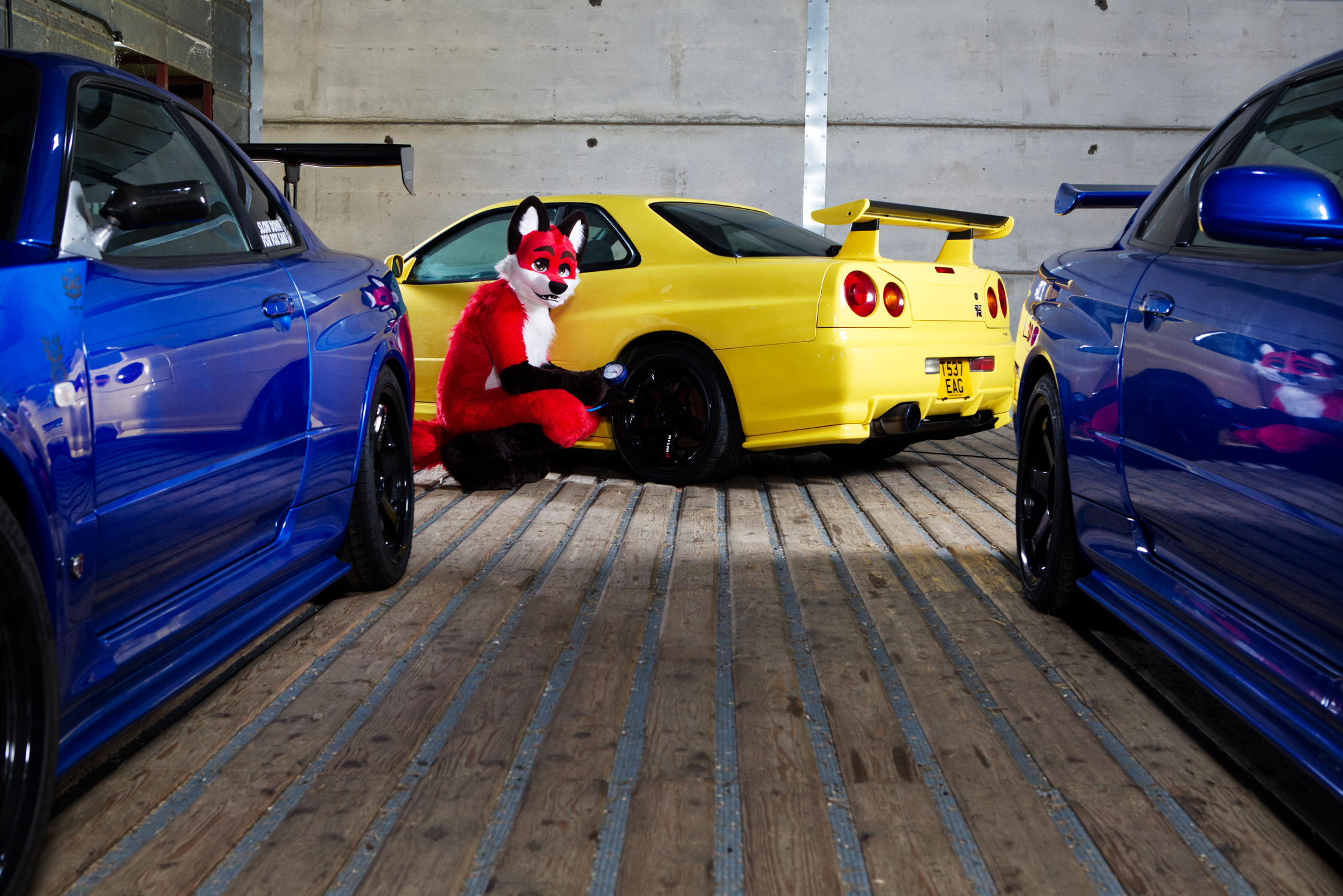 Furry Xavier Fox checks the tyre pressure of a Nissan GT-R R34 at his garage in Essex.