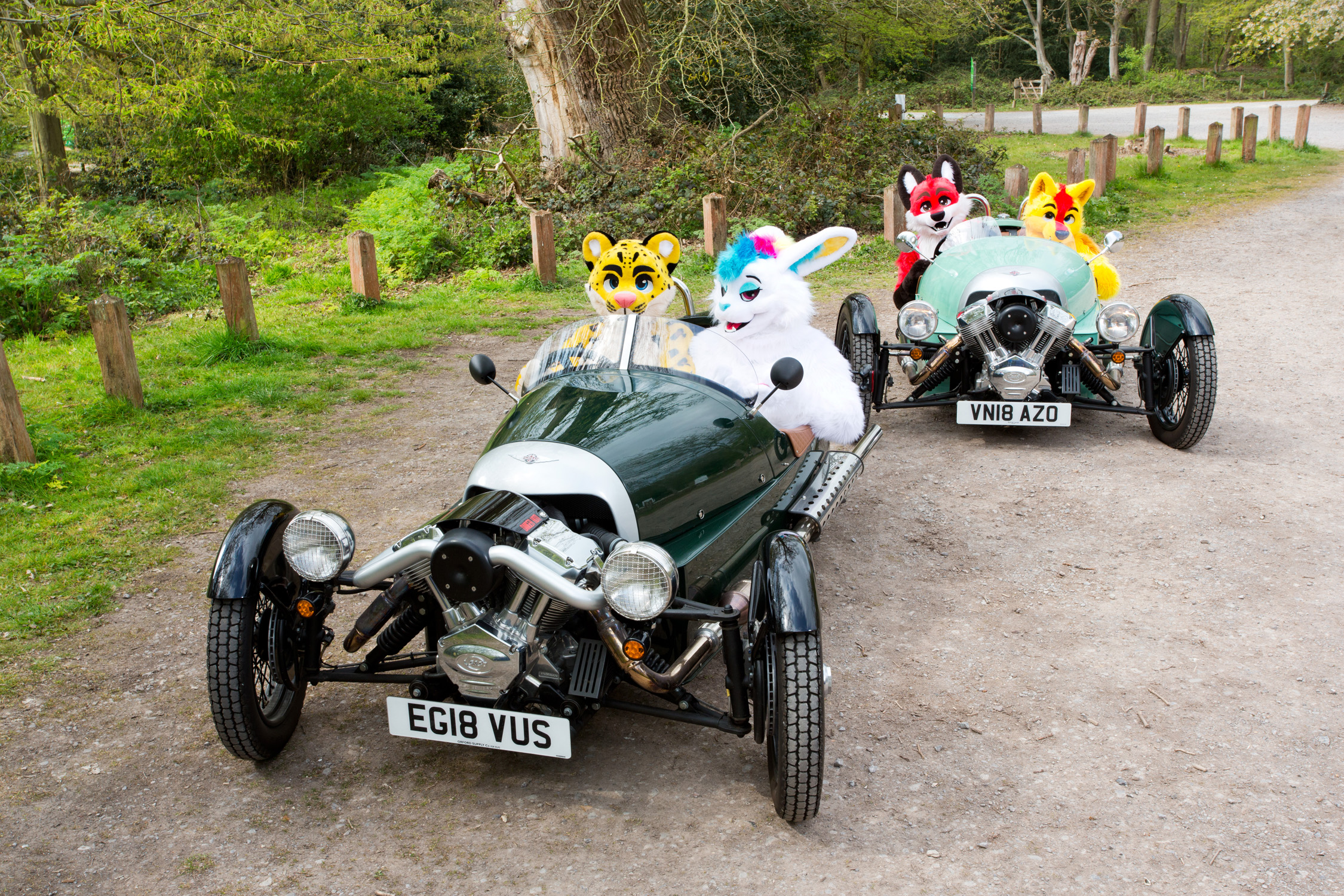 Two classic three-wheeled classic vintage cars are driven by four furries through Essex.