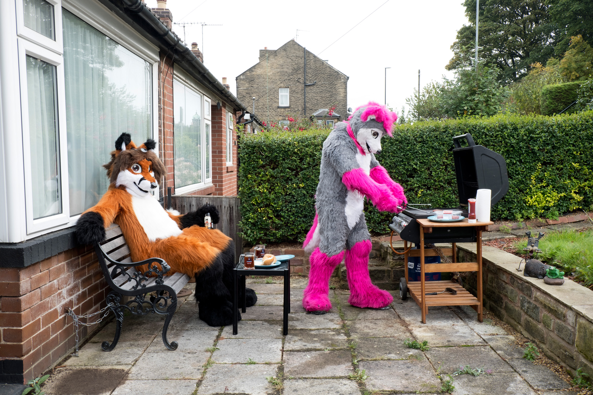 Two furries, one a fox and the other a wolf, relaxing in the back garden with a BBQ.