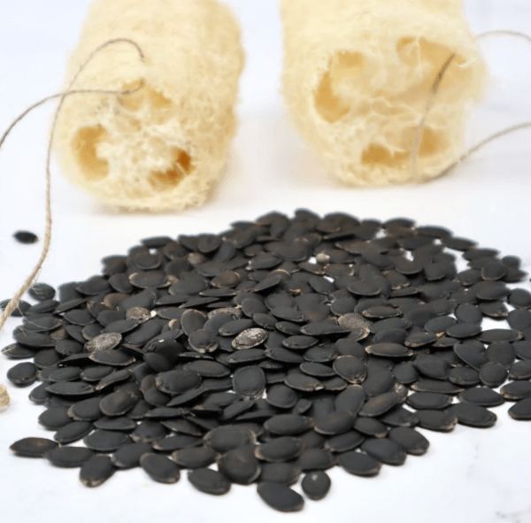 35 Organic Loofah Seeds