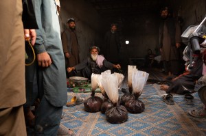 taliban opium poppy afghanistan