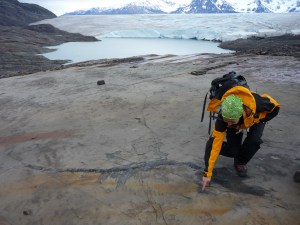 Melting Glacier Reveals Nearly Two Dozen Huge Ancient Sea Creature Fossils