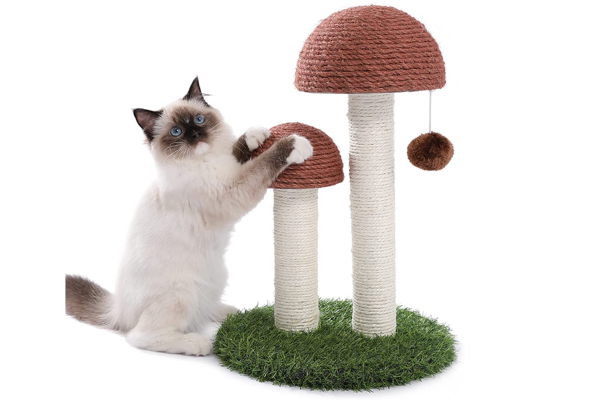 Mushroom Cat Scratch Post