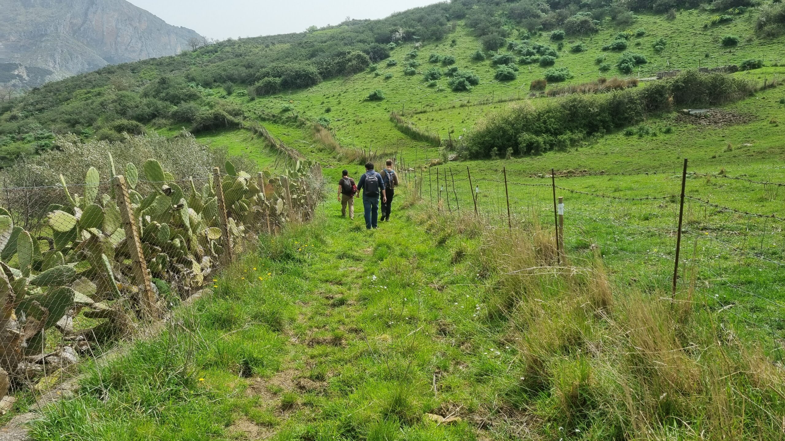 Una passeggiata con Calogero Valdone.jpg