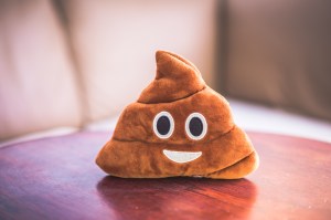 A poop emoji plushie sitting on a table