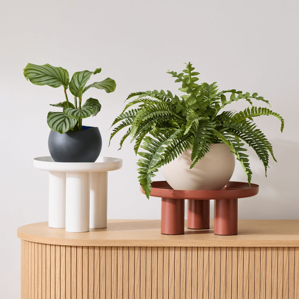 West Elm x Plant Kween Metal Plant Stand