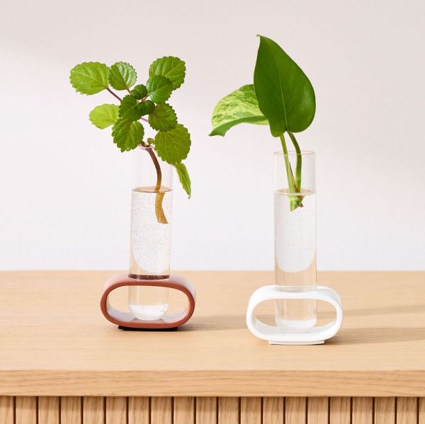 West Elm x Plant Kween Propagation System