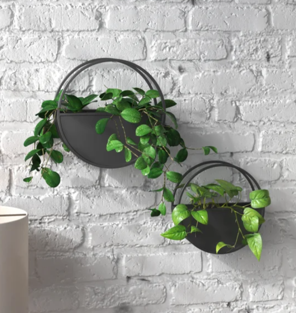 Josiah 2-Piece Iron Wall Planter Set