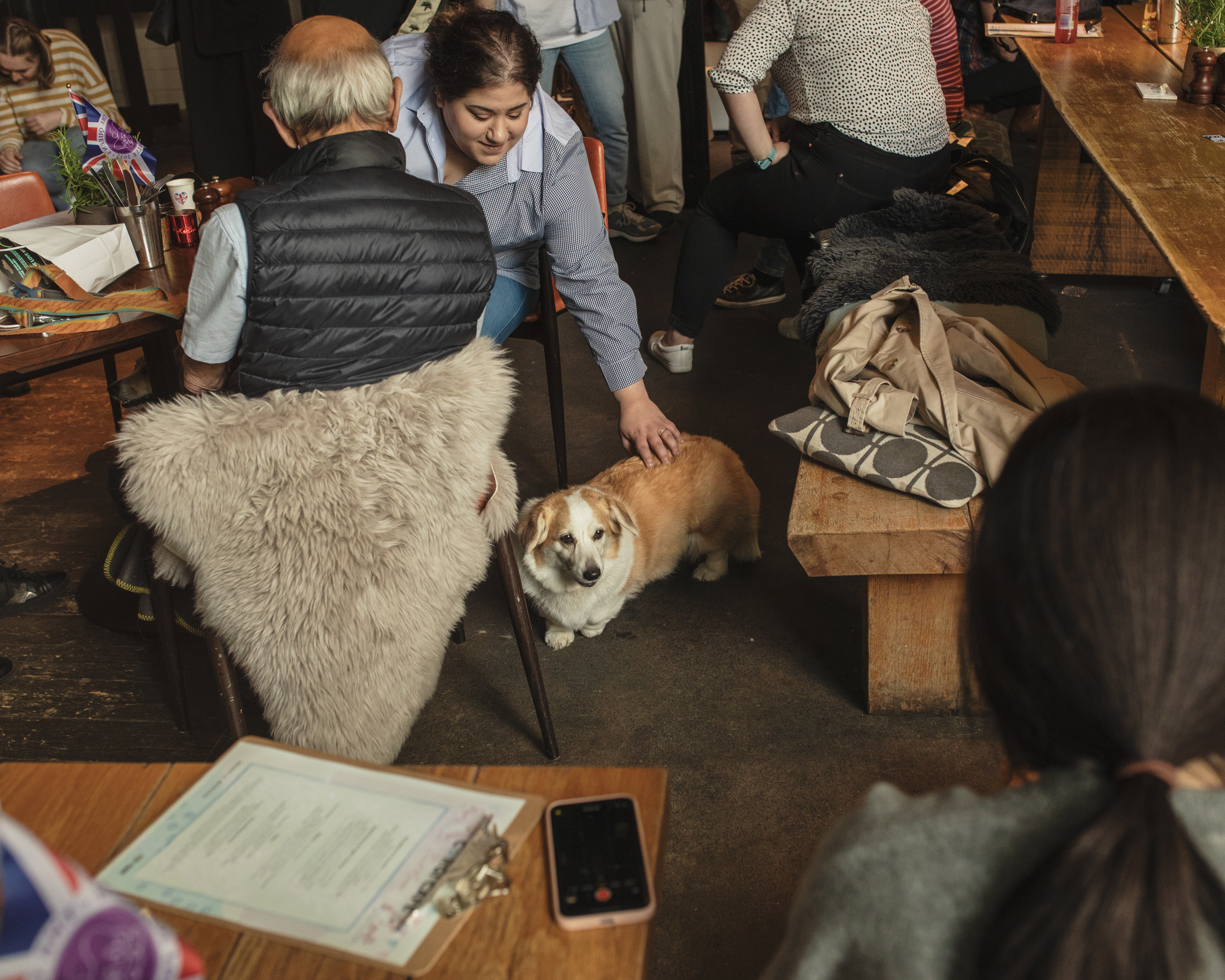 A corgi at the Jubilee themed corgi cafe in London