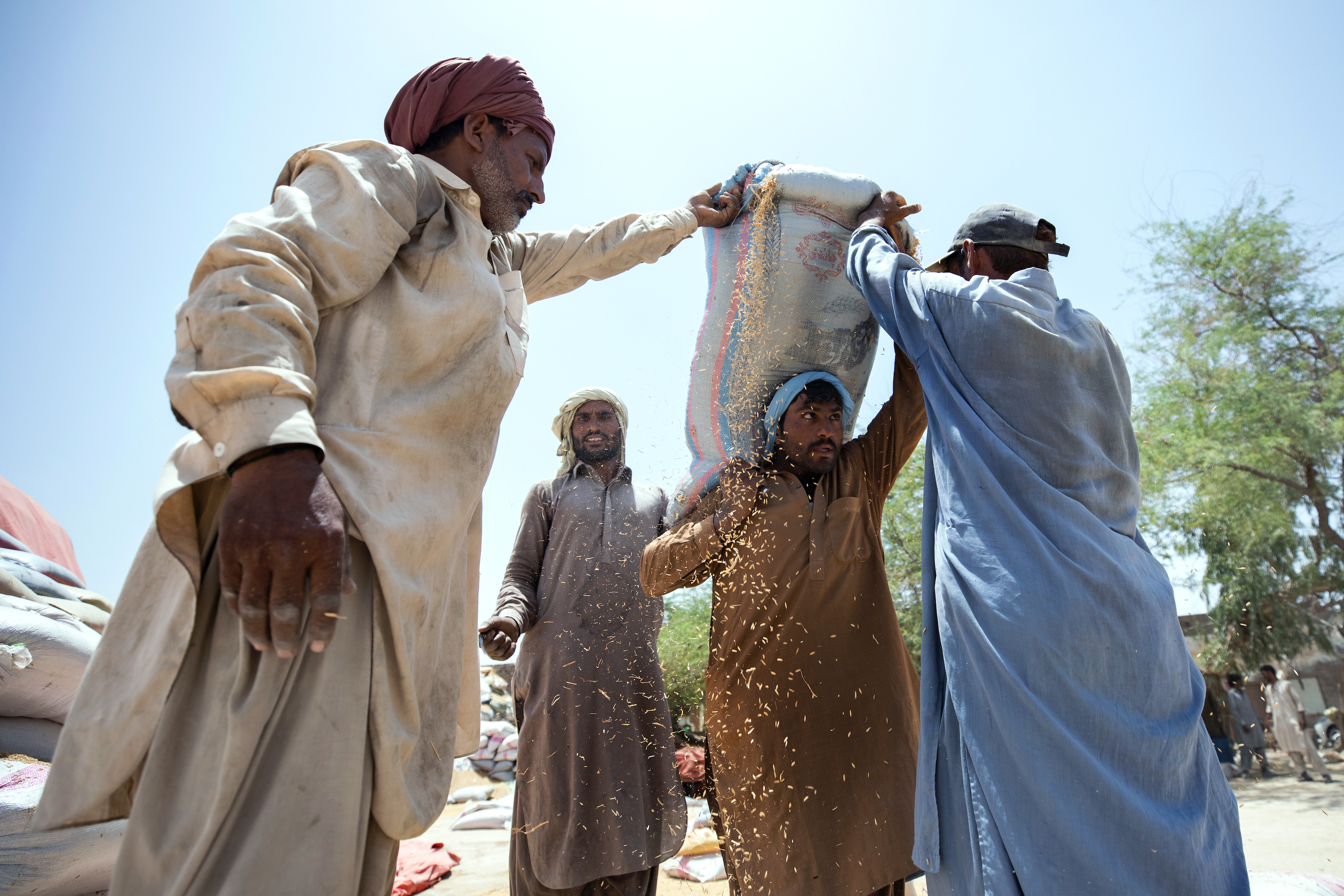 Rice Workers, Jacobabad, climate change, extreme heat, Pakistan, heatwaves