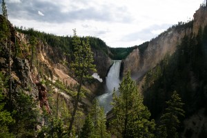 Grand Canyon of the Yellowstone, View of Yellowstone National Park, US, on June 19, 2020.