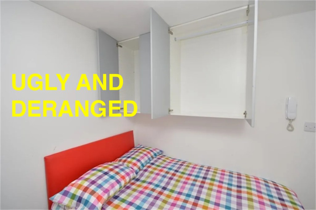 Cupboard over bed  in one-bed studio to rent in Sunderland