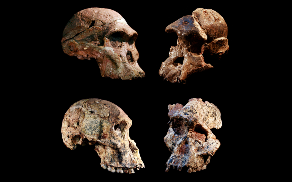 Particles from outer space helped refine the age estimates of South African ancestors of humans.