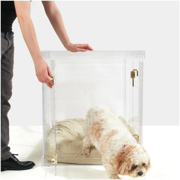 Gold Lynden Clear View Pet Crate