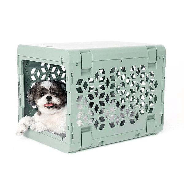 Small Pawd Collapsible Pet Crate