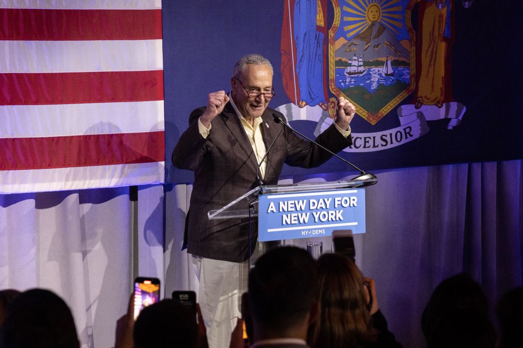 Chuck Schumer celebrates historically low voter turnout