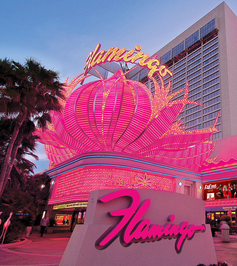 Flamingo hotel Las Vegas