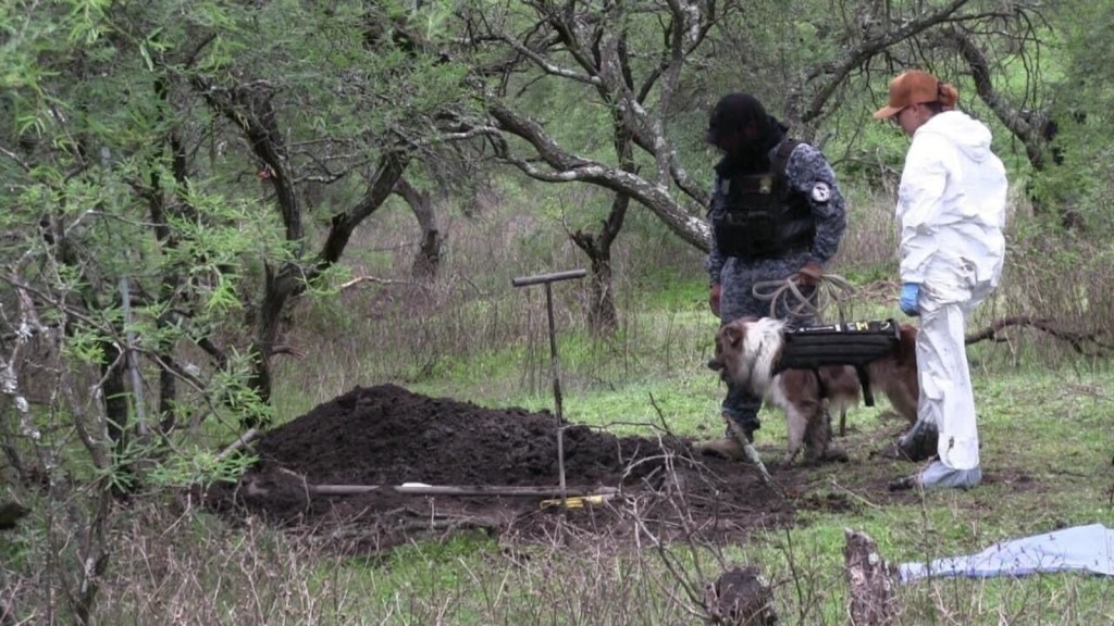 mexico-dead-25-bodies-los-negritos-natural-reserve