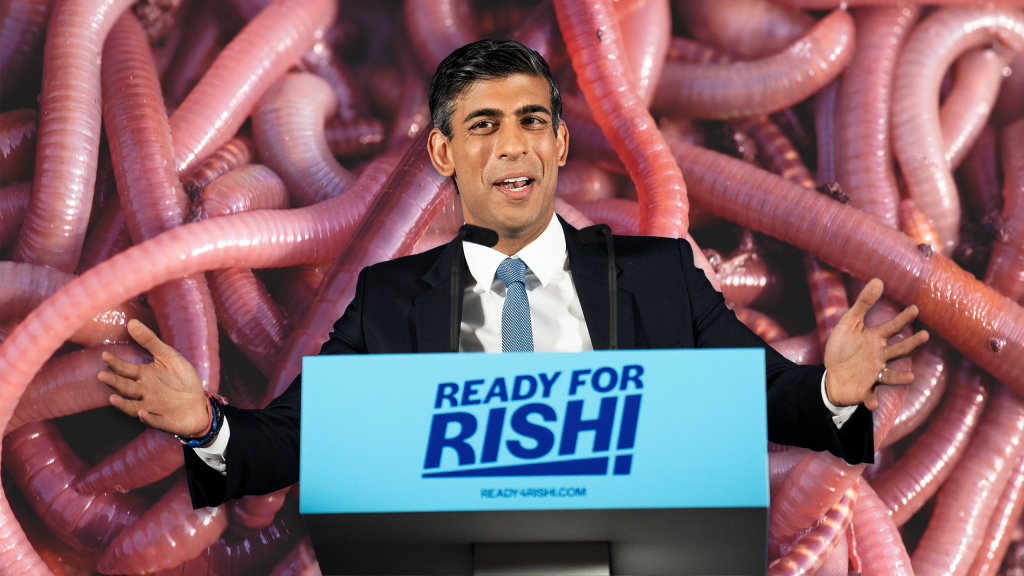 Conservative Party leadRishi Sunak against a backdrop of worms