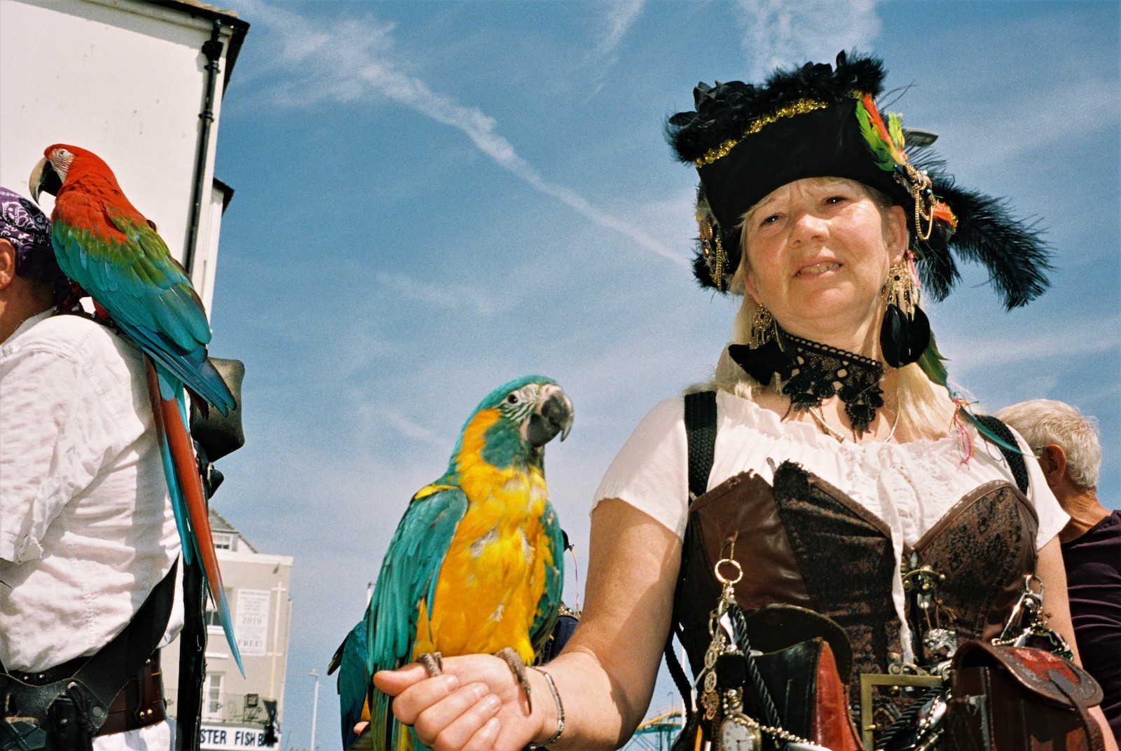 Two pirate fanatics and two parrots on 'Pirate Day' in Hastings