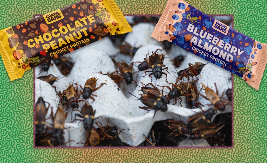 Down to Eat Bugs? These Cricket-Based Protein Bars Are a Hit