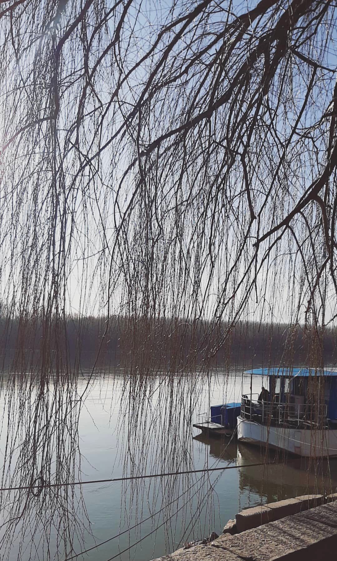 cum e sa fii tanar in braila port dunare experienta turistica