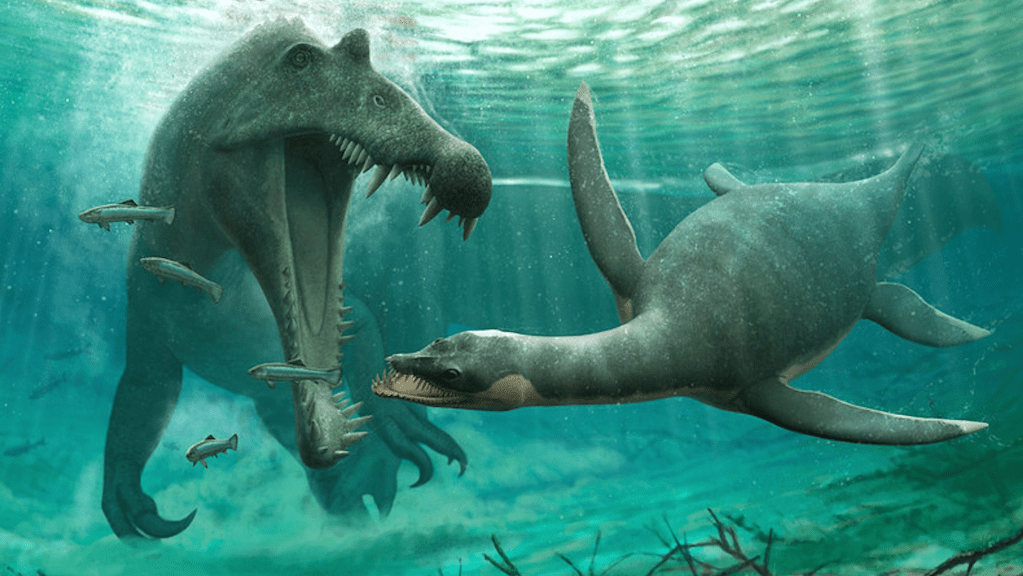 fosil plesiosaurus Mirip 'Monster Loch Ness' Skotlandia Ditemukan di Maroko