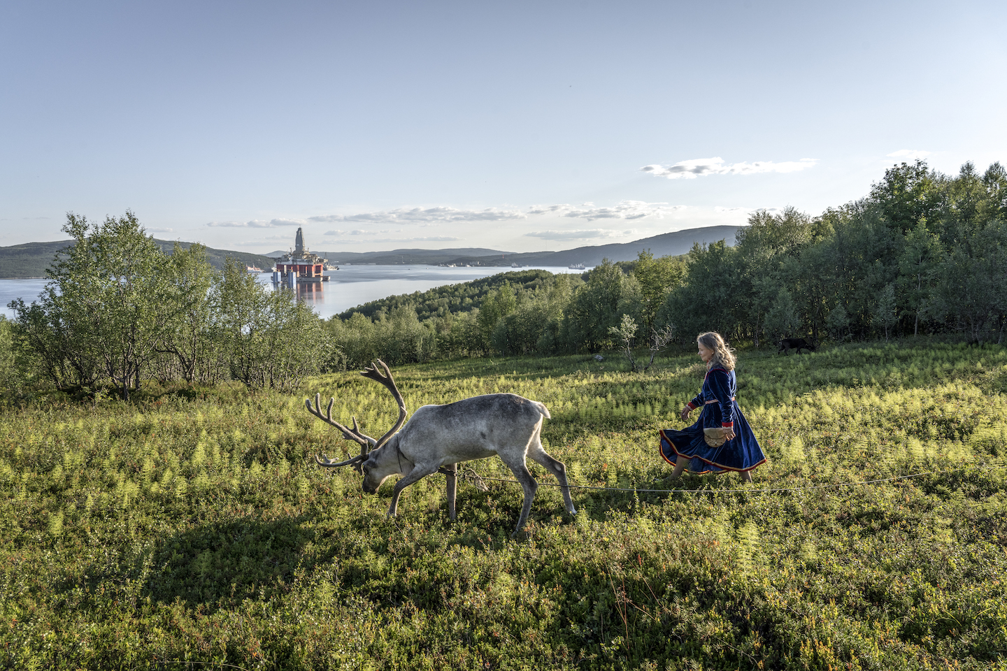 A woman walks through a field alongside a reindeer.