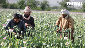 taliban-afghanistan-drugs-trade