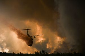 The lethal combination of heat and drought may produce “grey swan” events that are more dangerous than the sum of their parts.